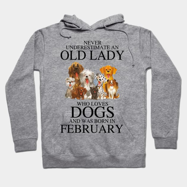 Never Underestimate An Old Lady Who Loves Dogs And Was Born In February Hoodie by louismcfarland